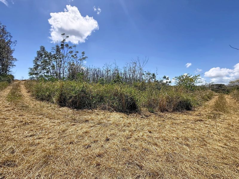 Grand Baie Land 4220.87 m² Sale